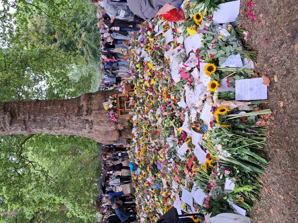 Fot. PAP/Marcin Furdyna