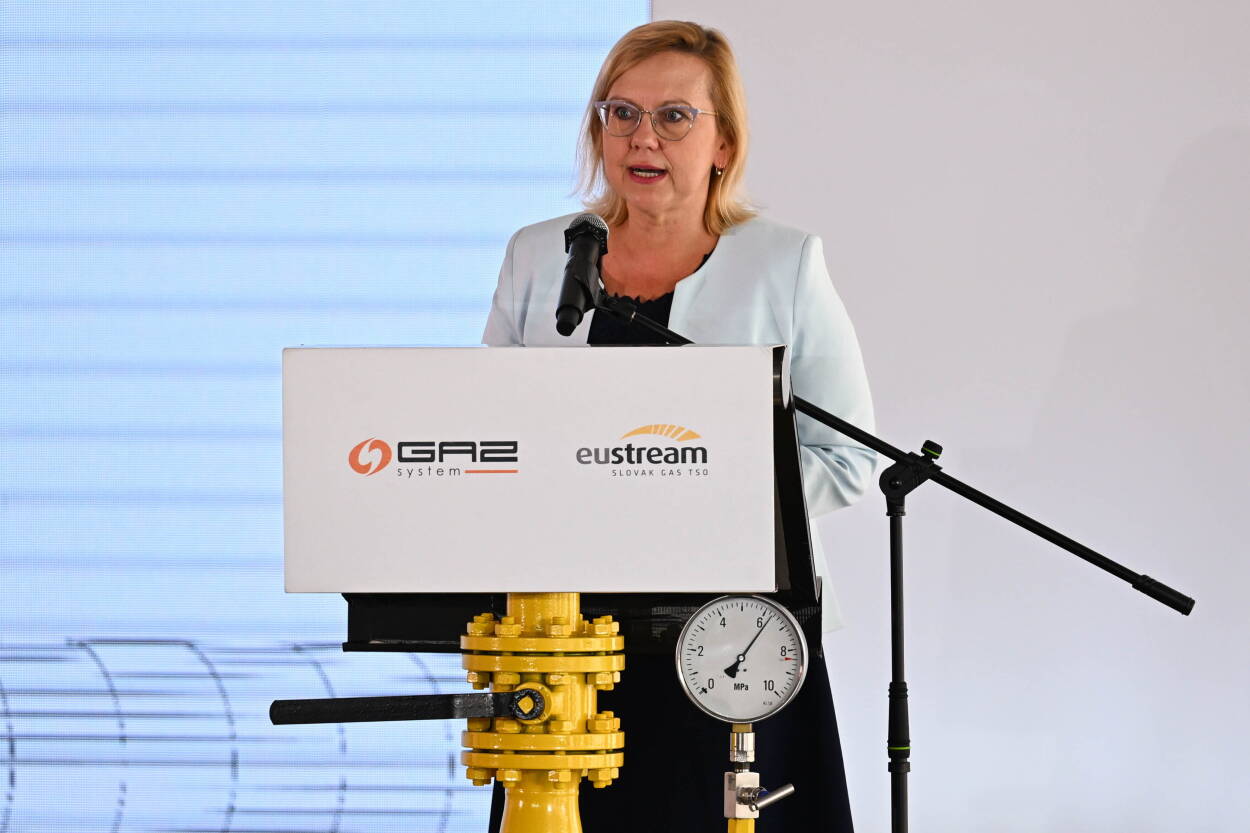 Fot. PAP/Darek Delmanowicz