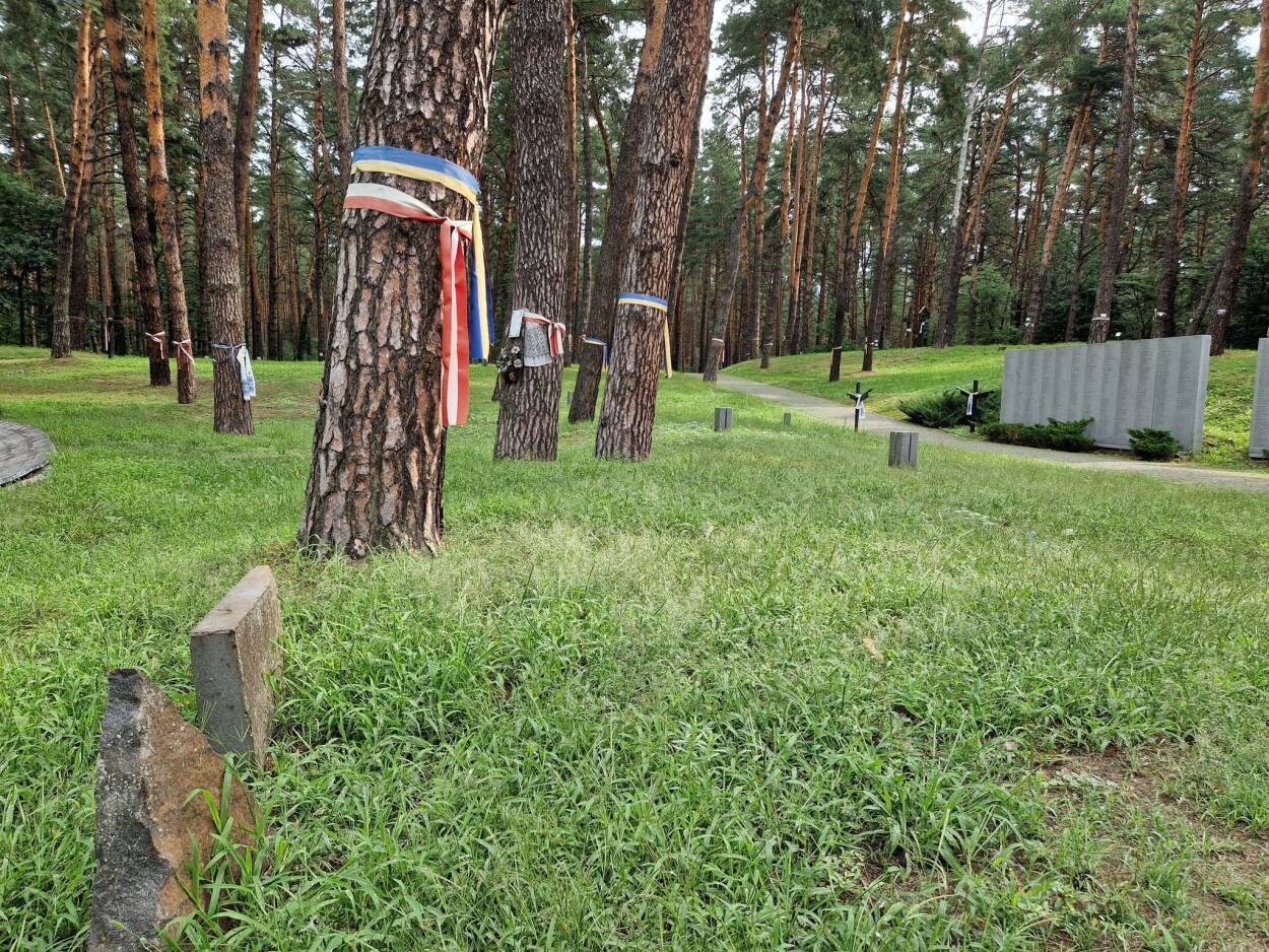 Fot. PAP/Jarosław Junko