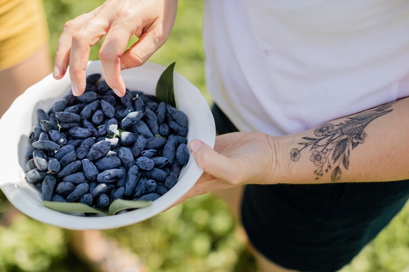 Krajowy Związek Grup Producentów Owoców i Warzyw (2)