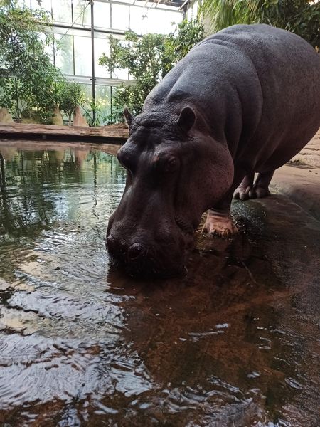 Fot. Facebook/ZOO Warszawa