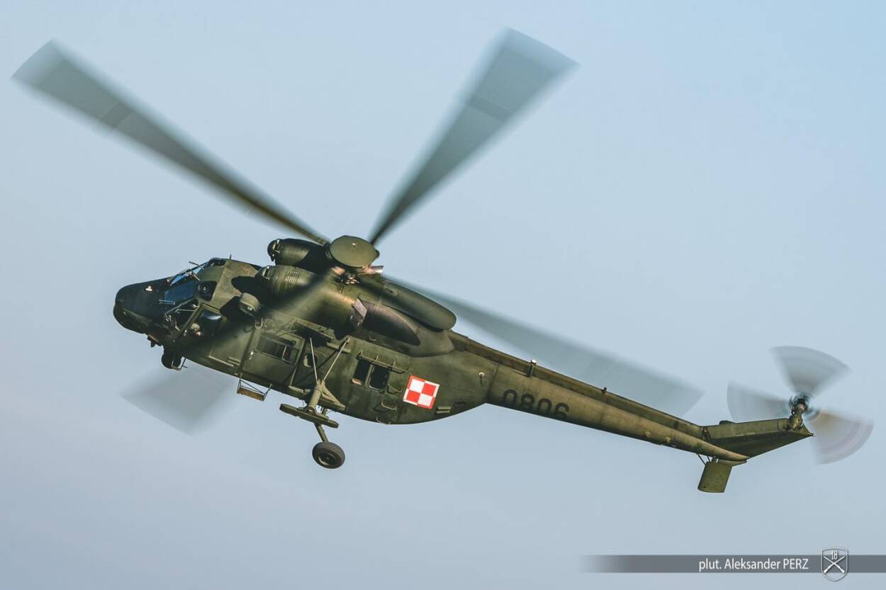 plut. Aleksander Perz