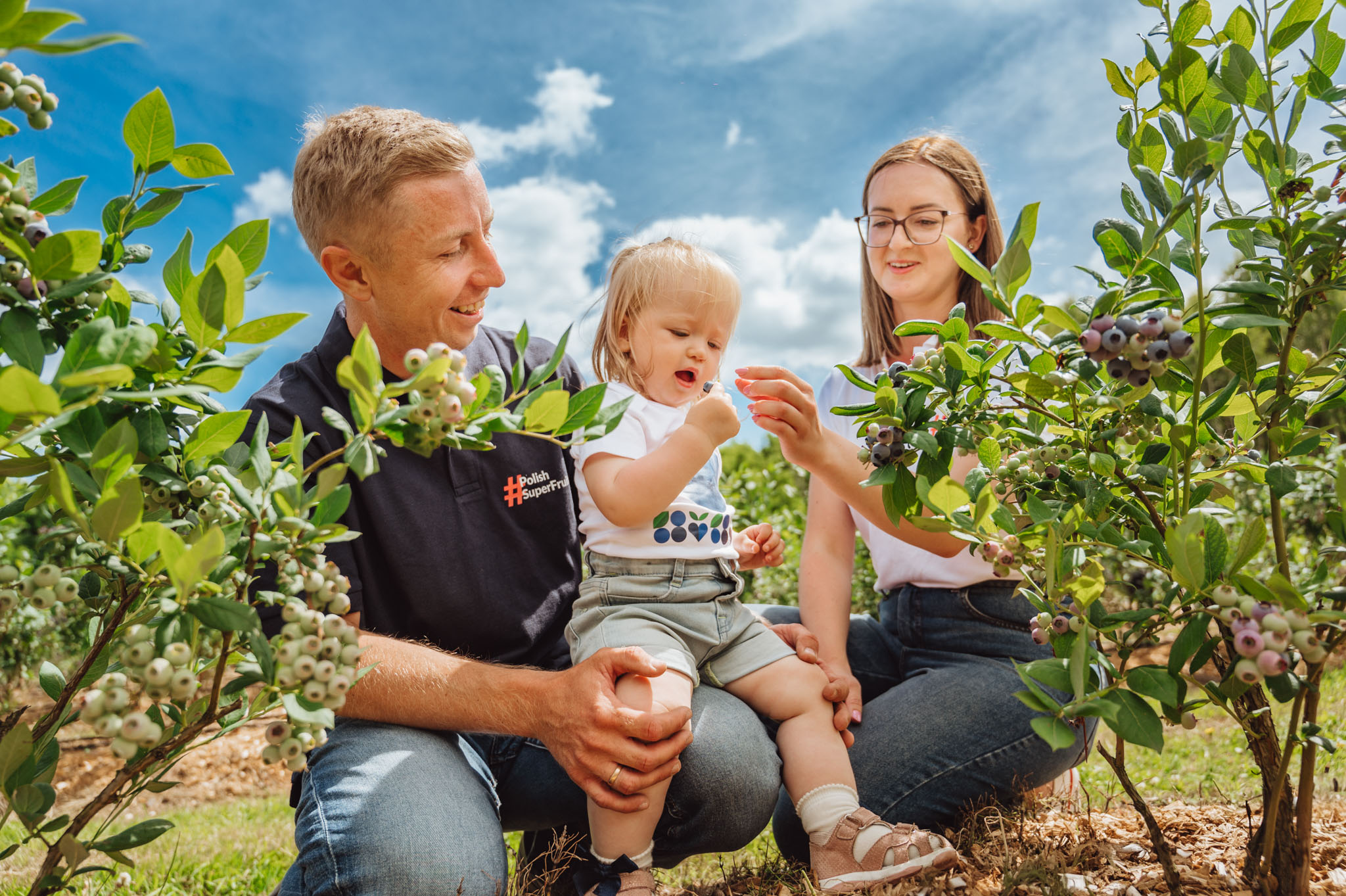 Krajowy Związek Grup Producentów Owoców i Warzyw (3)