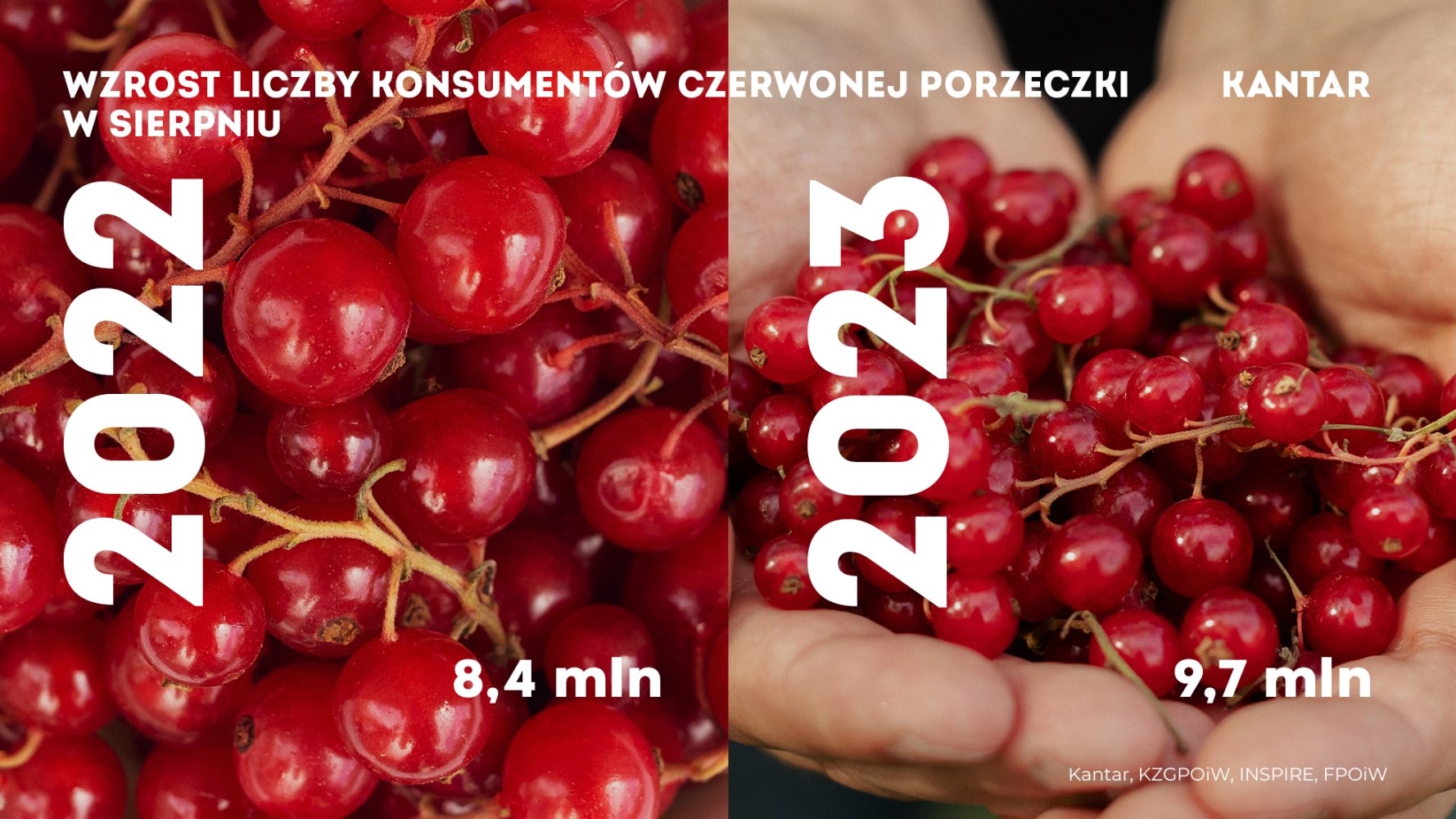 Krajowy Związek Grup Producentów Owoców i Warzyw (3)