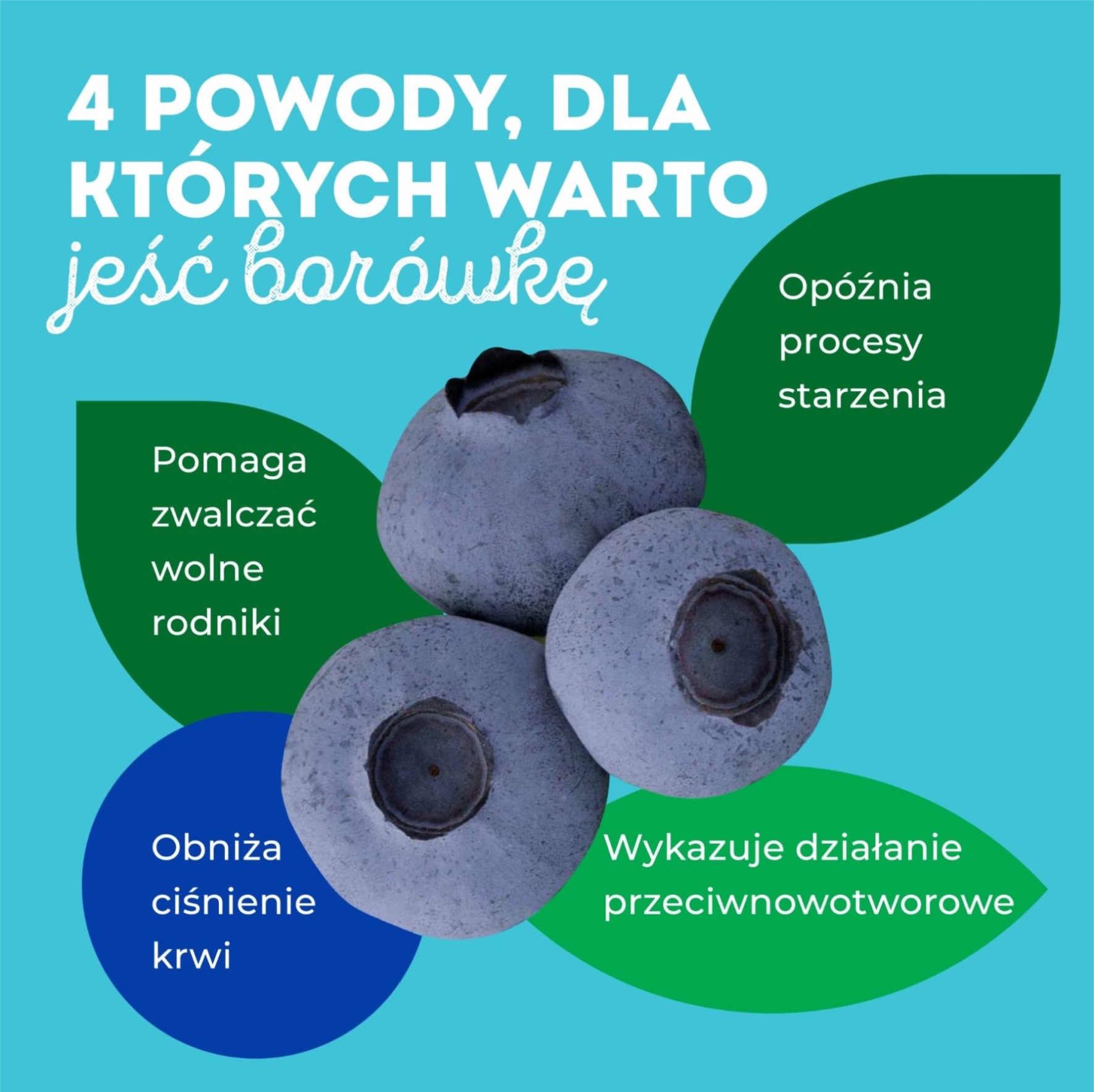 Krajowy Związek Grup Producentów Owoców i Warzyw