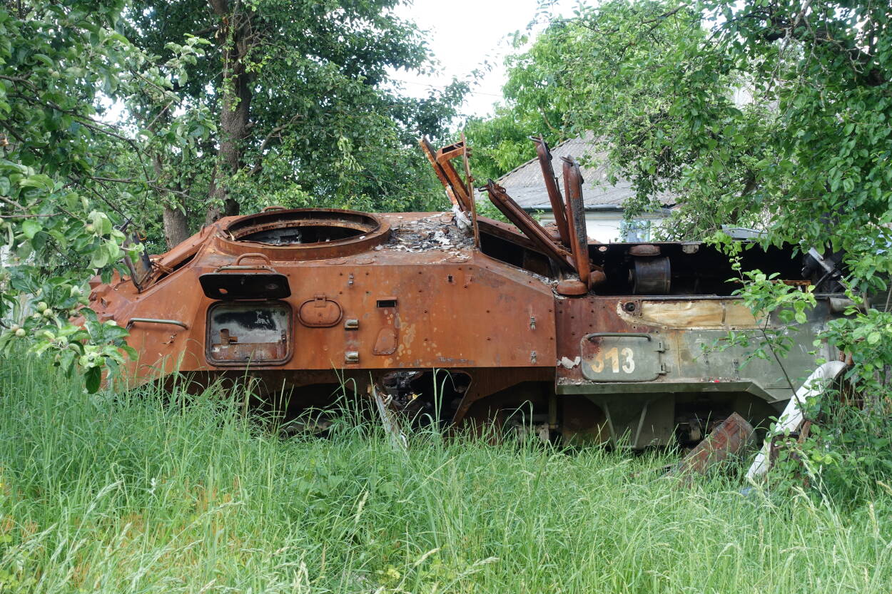 Fot. Kamila Wronowska