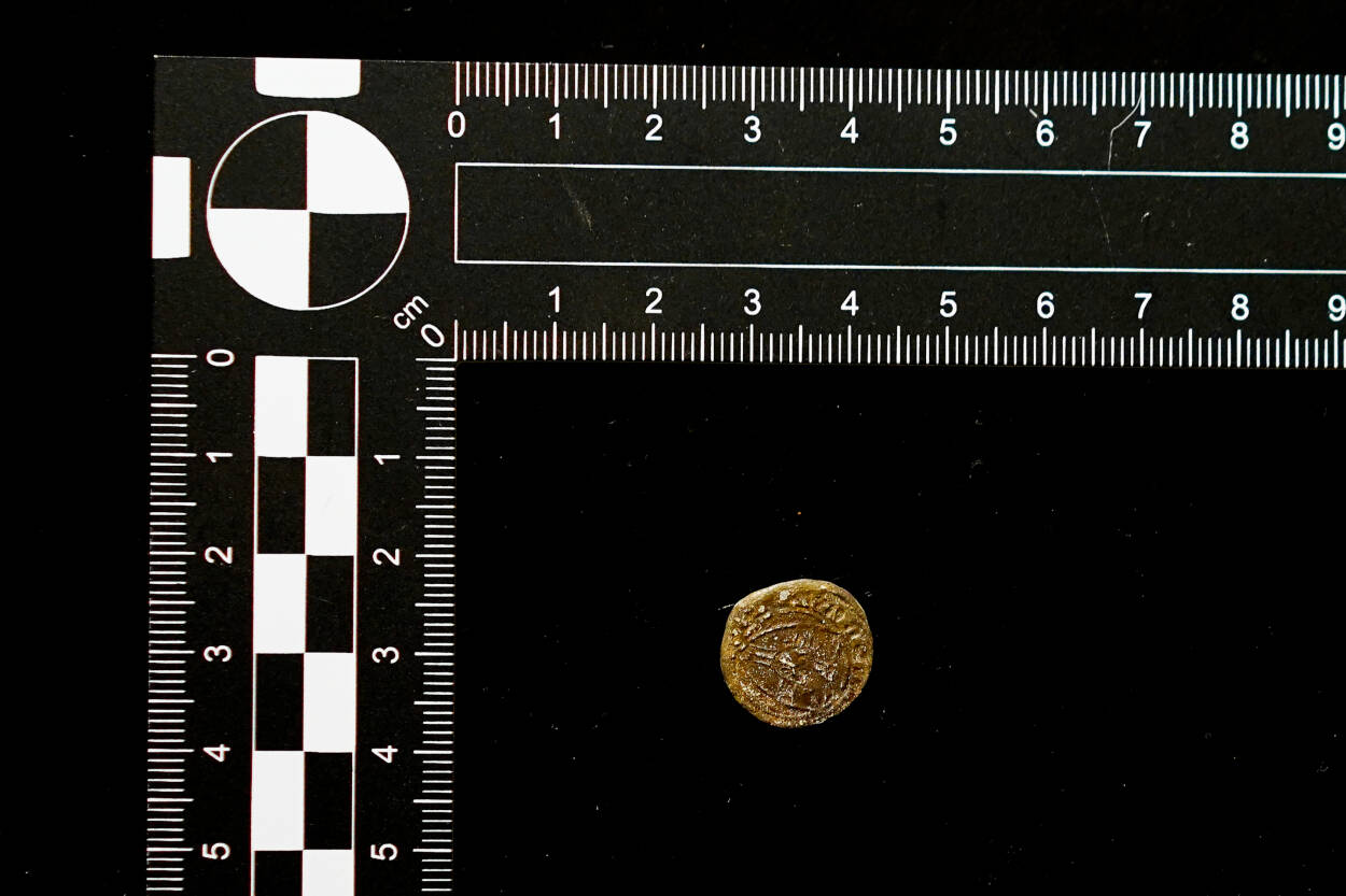 Znalezione krzyżackie monety, Fot. Muzeum Regionu Jadów 