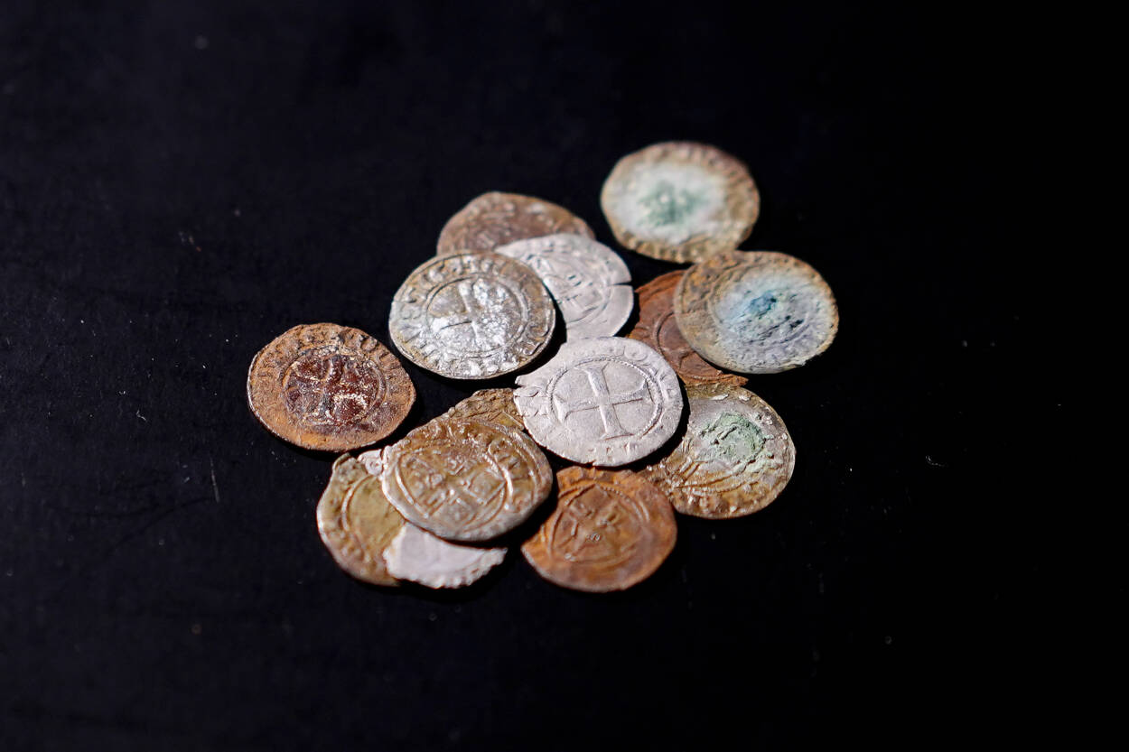 Znalezione krzyżackie monety, Fot. Muzeum Regionu Jadów 