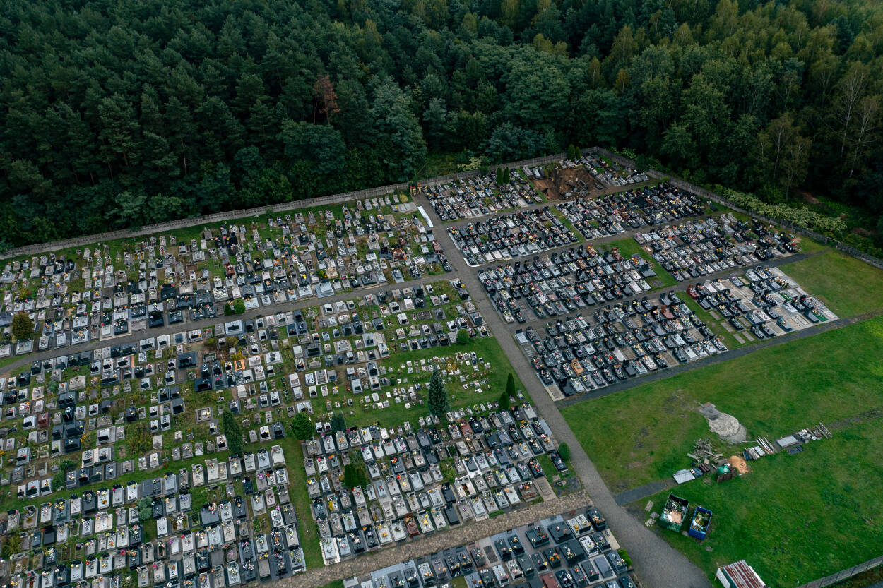 Fot. PAP/Łukasz Gągulski