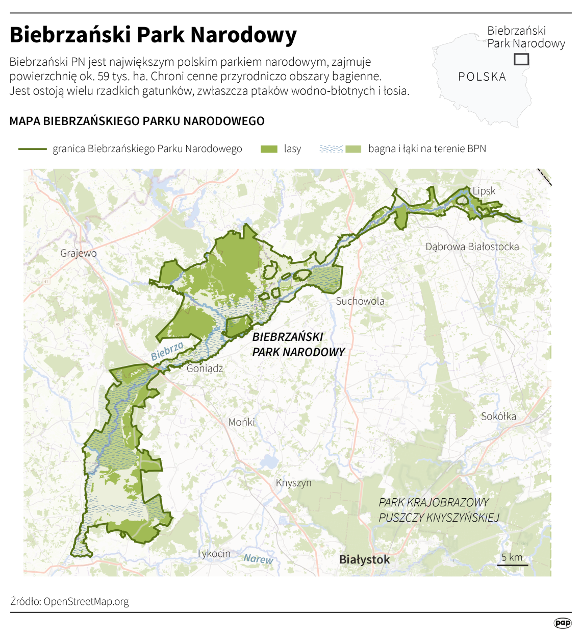 PAP/Maria Samczuk, Adam Ziemienowicz