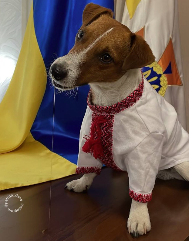 Patron, Fot. Instagram/patron_dsns