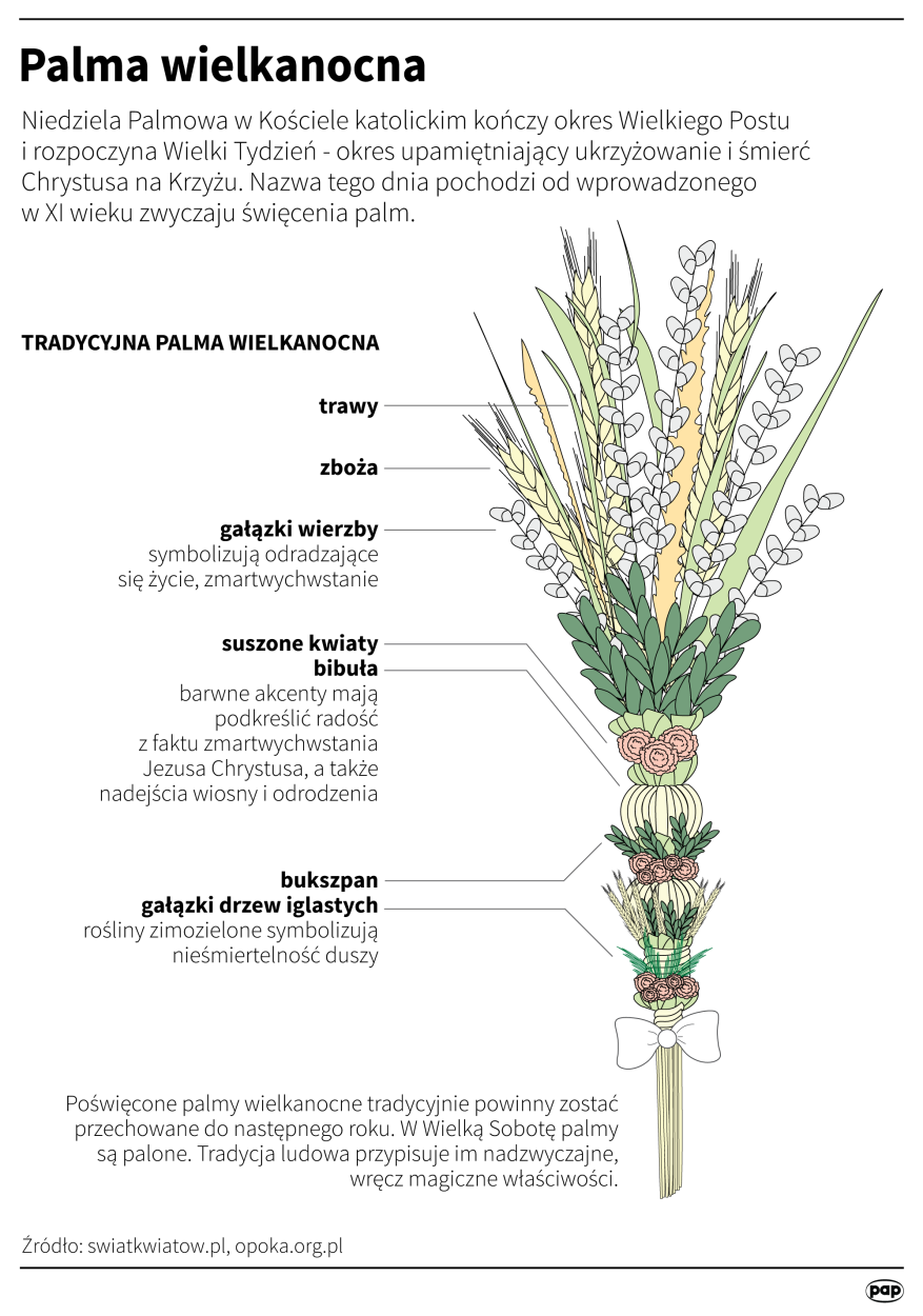 Fot. PAP/Maria Samczuk 