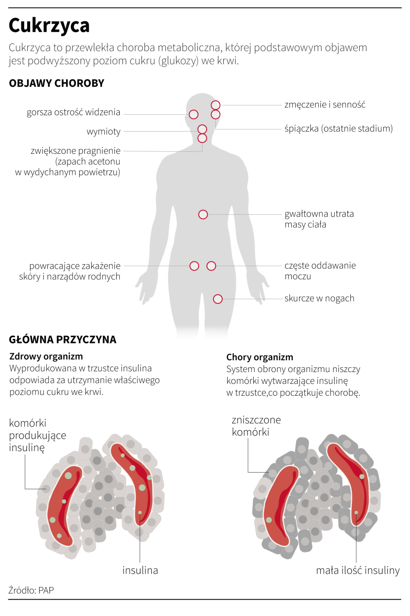 PAP/Maria Samczuk , Adam Ziemienowicz