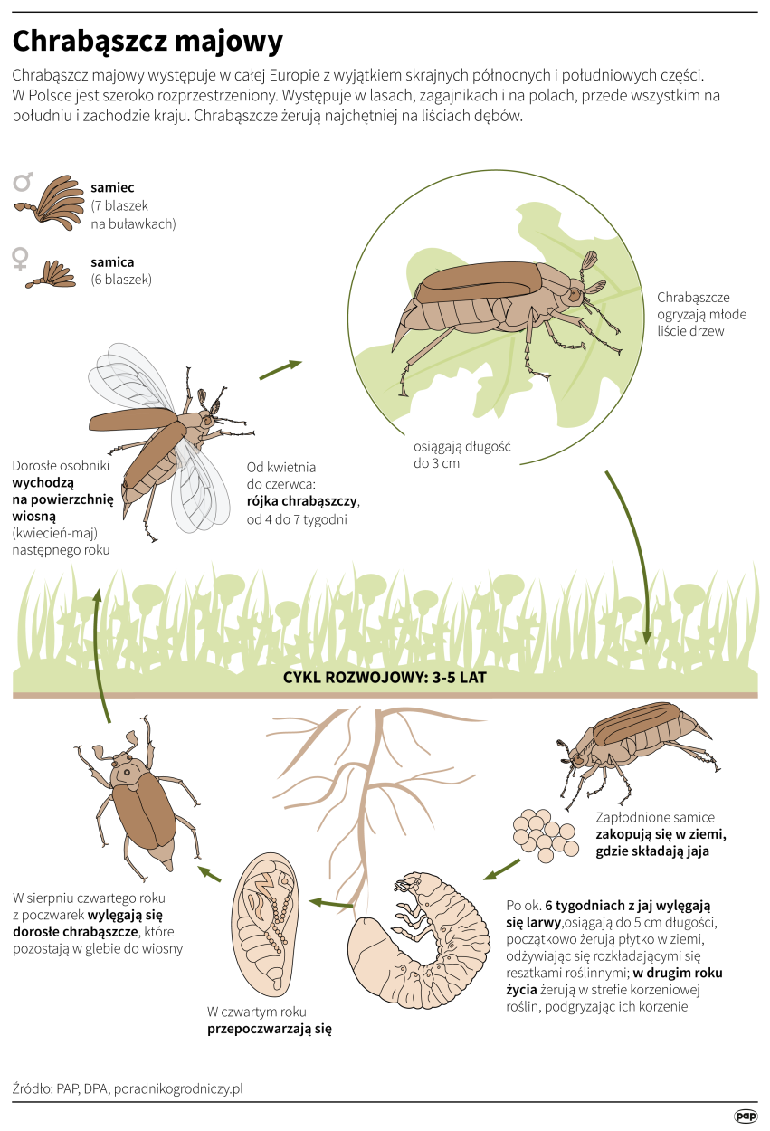 Fot. PAP/Maria Samczuk, Adam Ziemienowicz Fot. PAP/Maria Samczuk, Adam Ziemienowicz