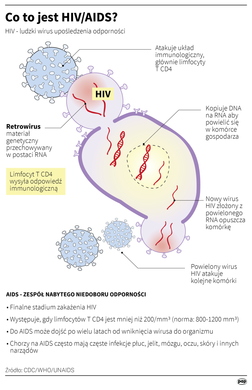 PAP/Anna Zajkowska, Adam Ziemienowicz