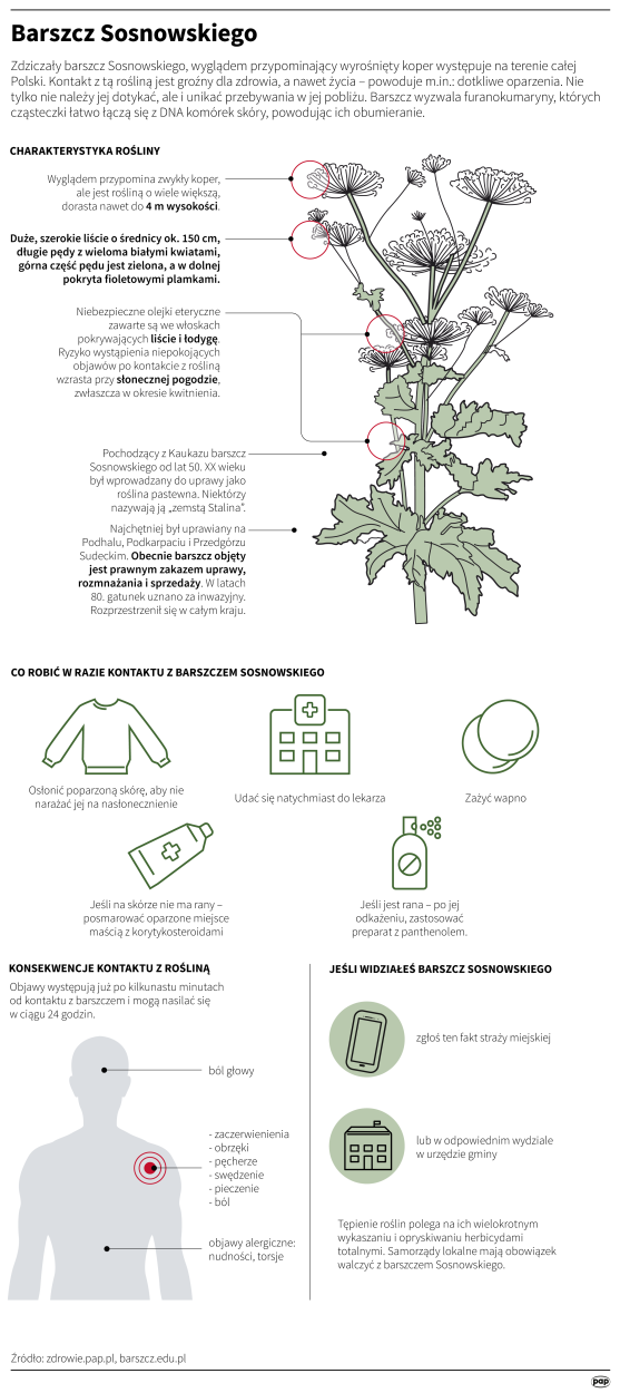 Infografika PAP/Maria Samczuk