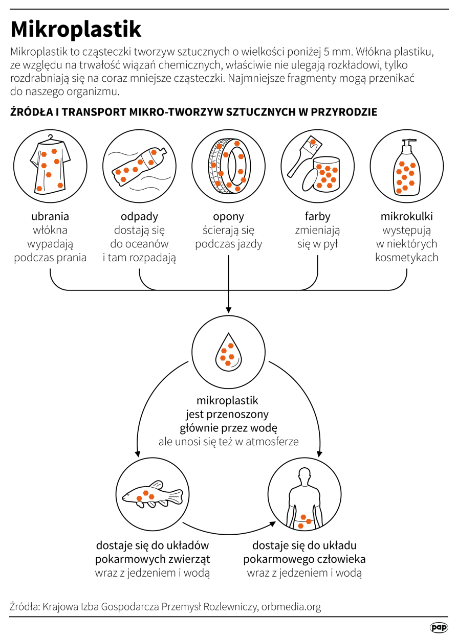 PAP/Maciej Zieliński