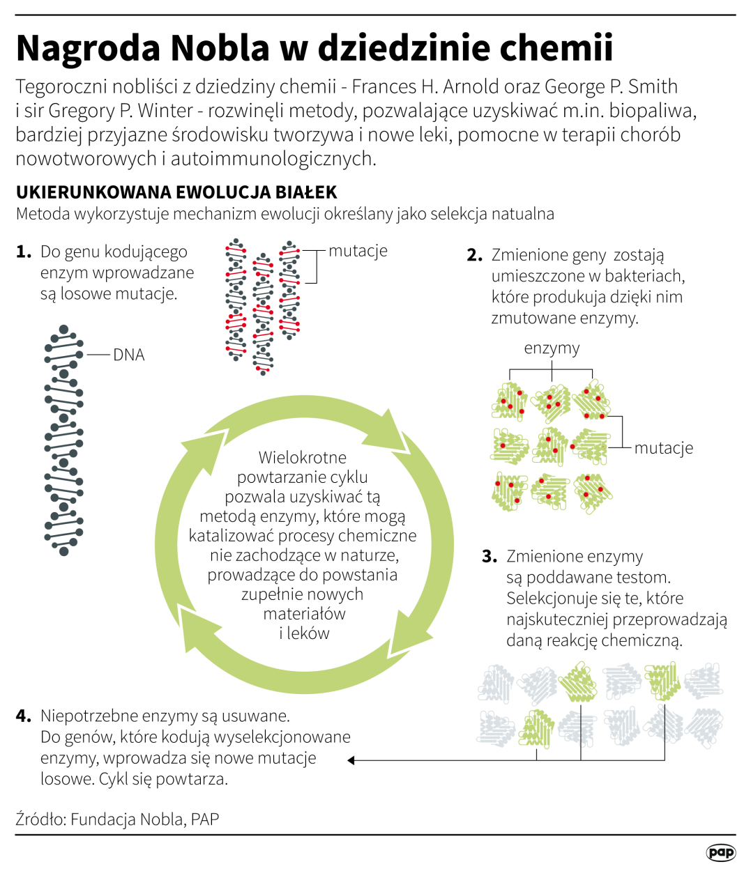 Fot. PAP/Infografika/Maciej Zieliński