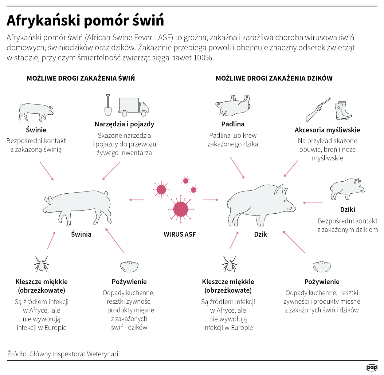 PAP/Małgorzata Latos