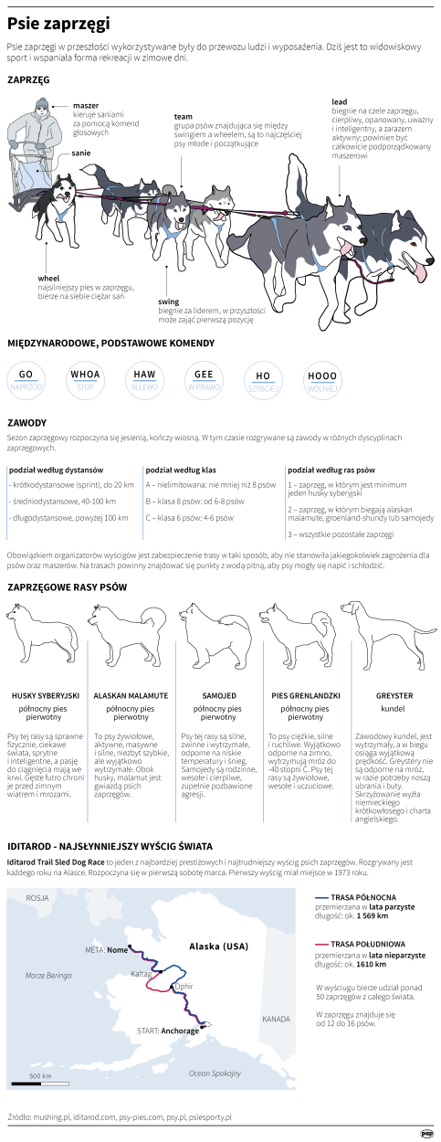 Fot. PAP/ Maria Samczuk