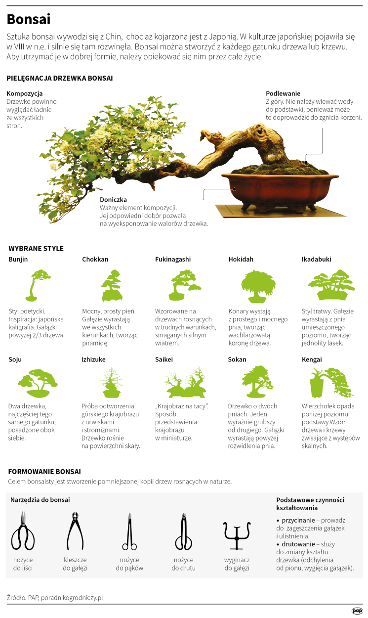 Pap/Anna Zajkowska, Małgorzata Latos