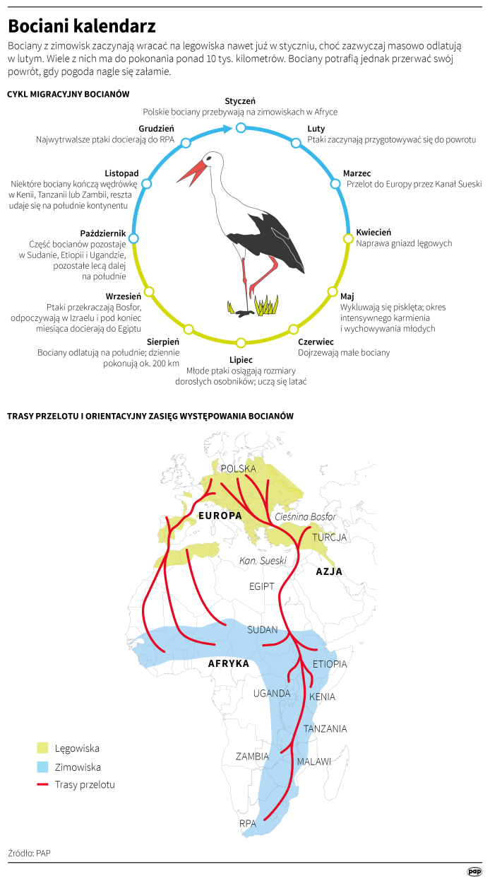 PAP/Maciej Zieliński , Małgorzata Latos , Adam Ziemienowicz 