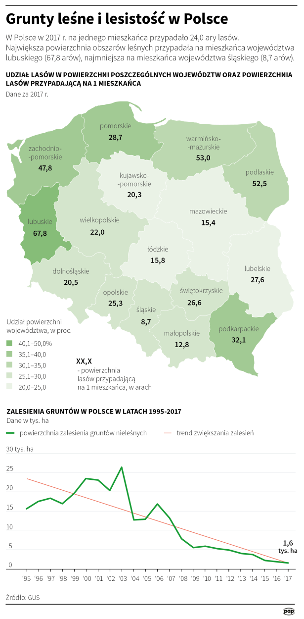 PAP/Małgorzata Latos