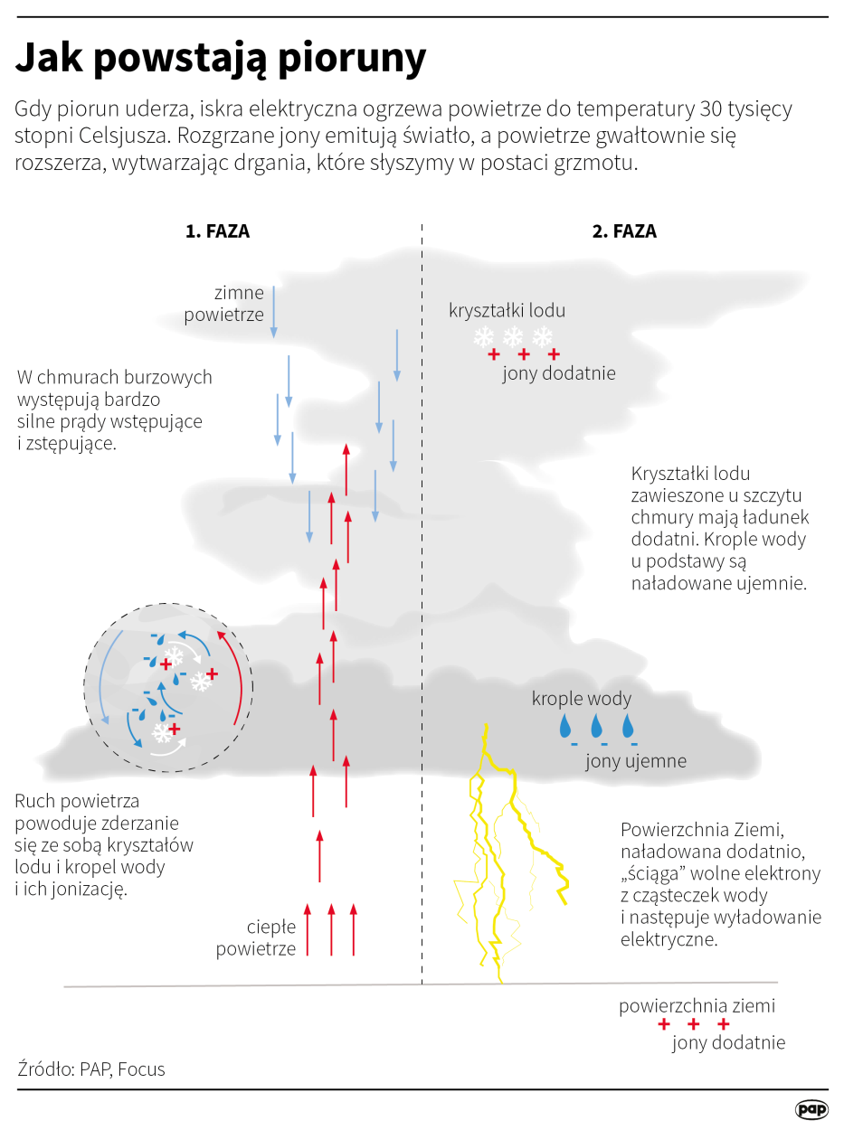 PAP/Infografika/Maria Samczuk/Maciej Zieliński