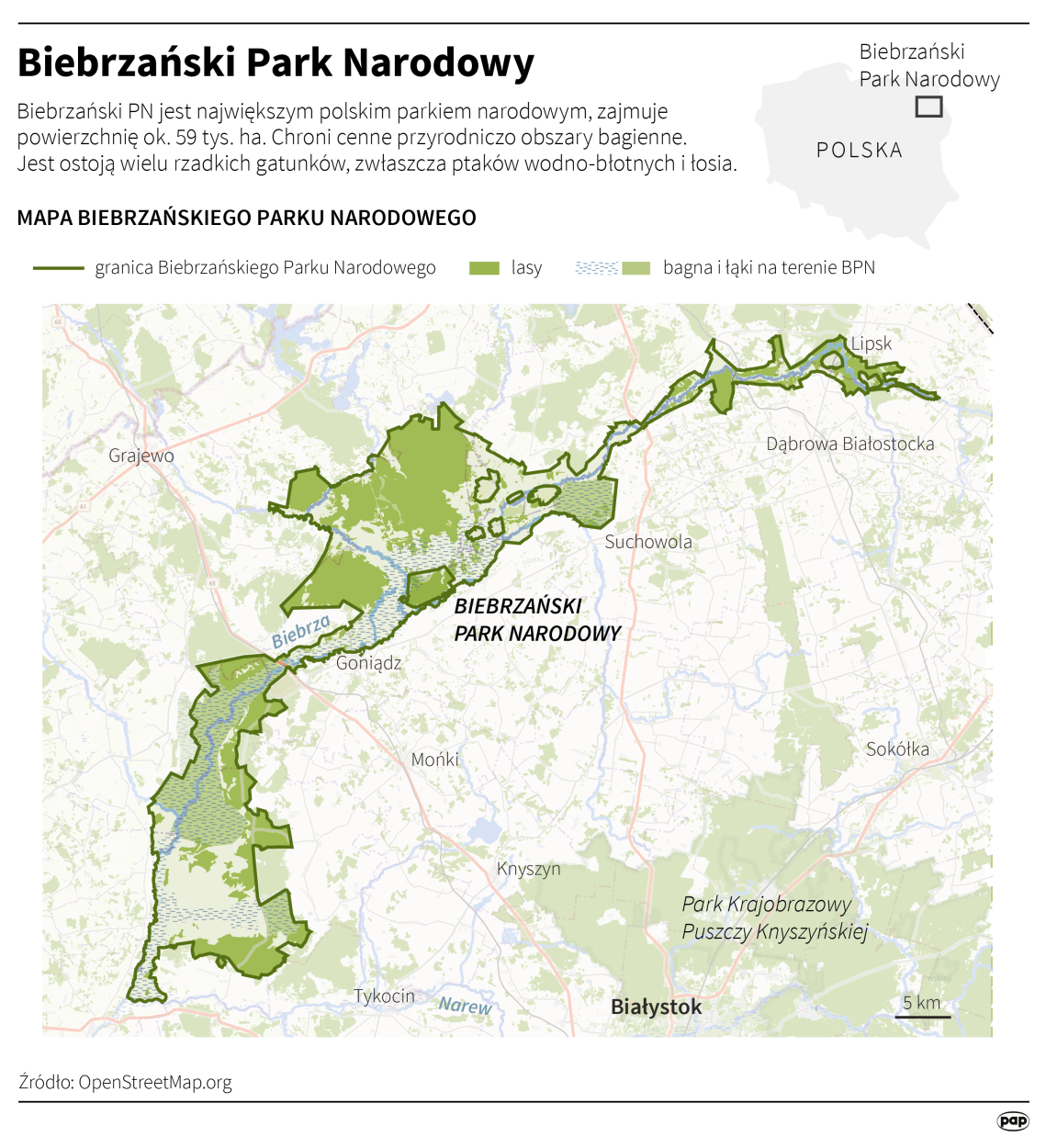 PAP/Maria Samczuk, Adam Ziemienowicz