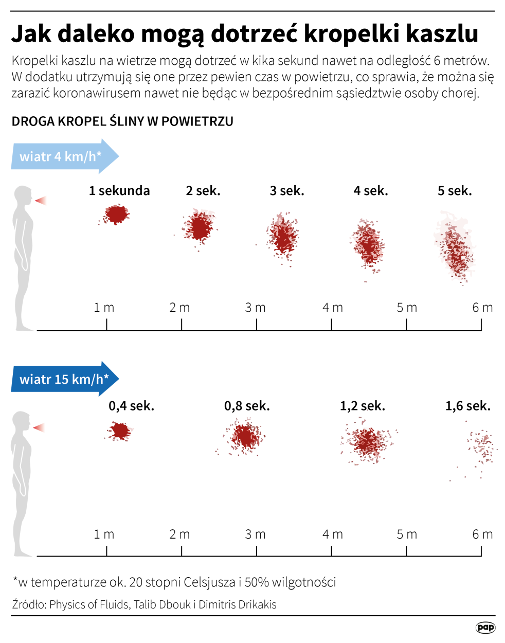 Fot. PAP/Infografika/Adam Ziemienowicz