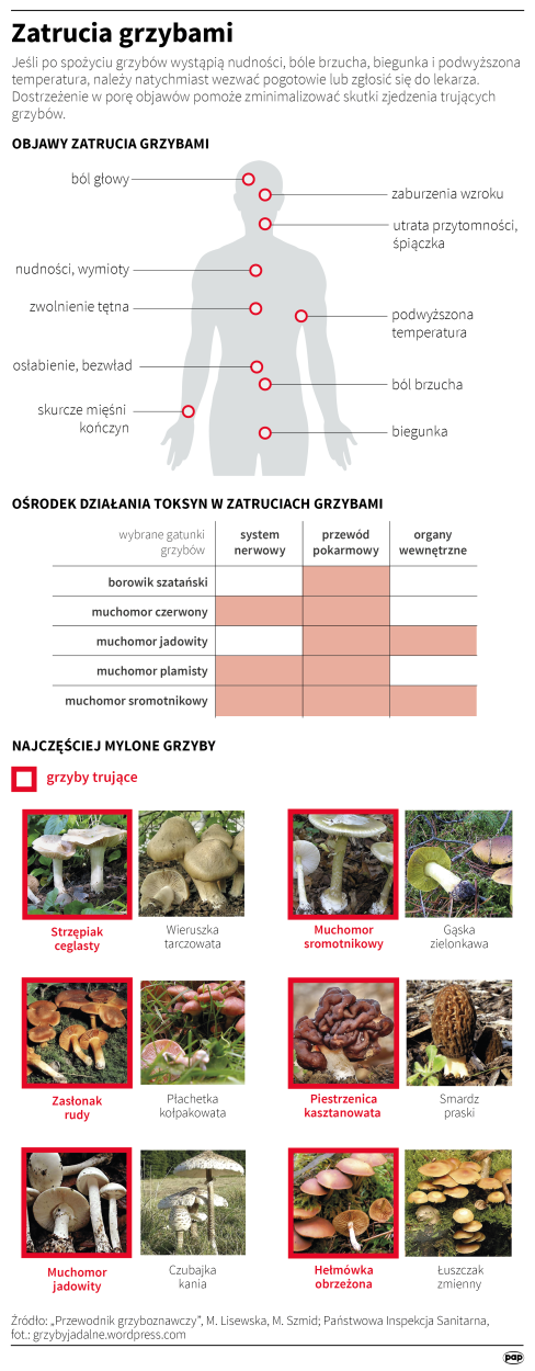 PAP/Adam Ziemienowicz