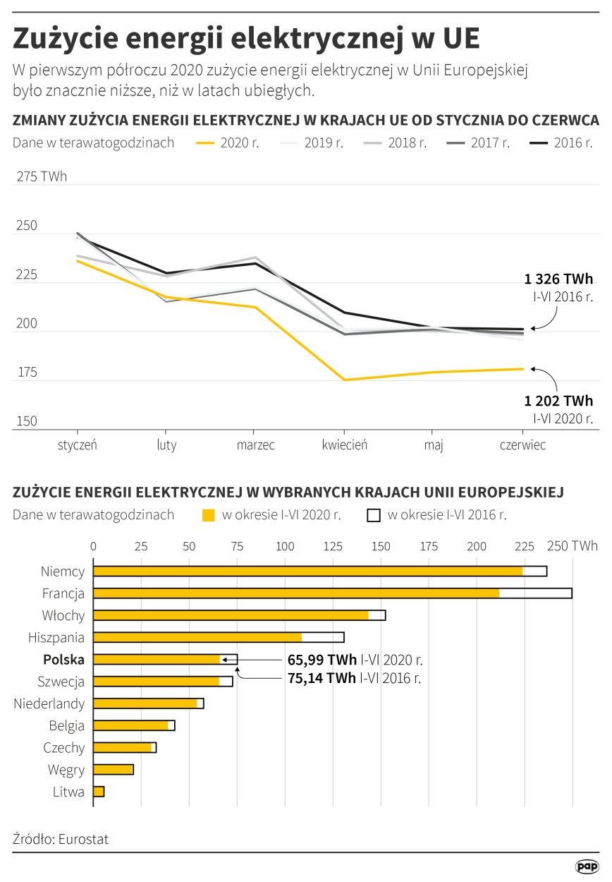 Zużycie energii elektrycznej w UE Autor Fot. PAP/Infografika/ Maciej Zieliński