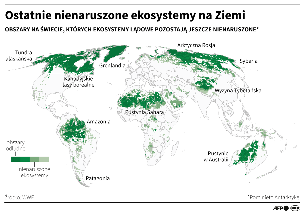 Fot. PAP/Infografika/Maciej Zieliński