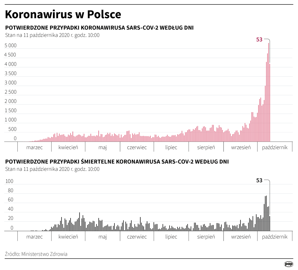 Fot. PAP/Infografika/Maciej Zieliński
