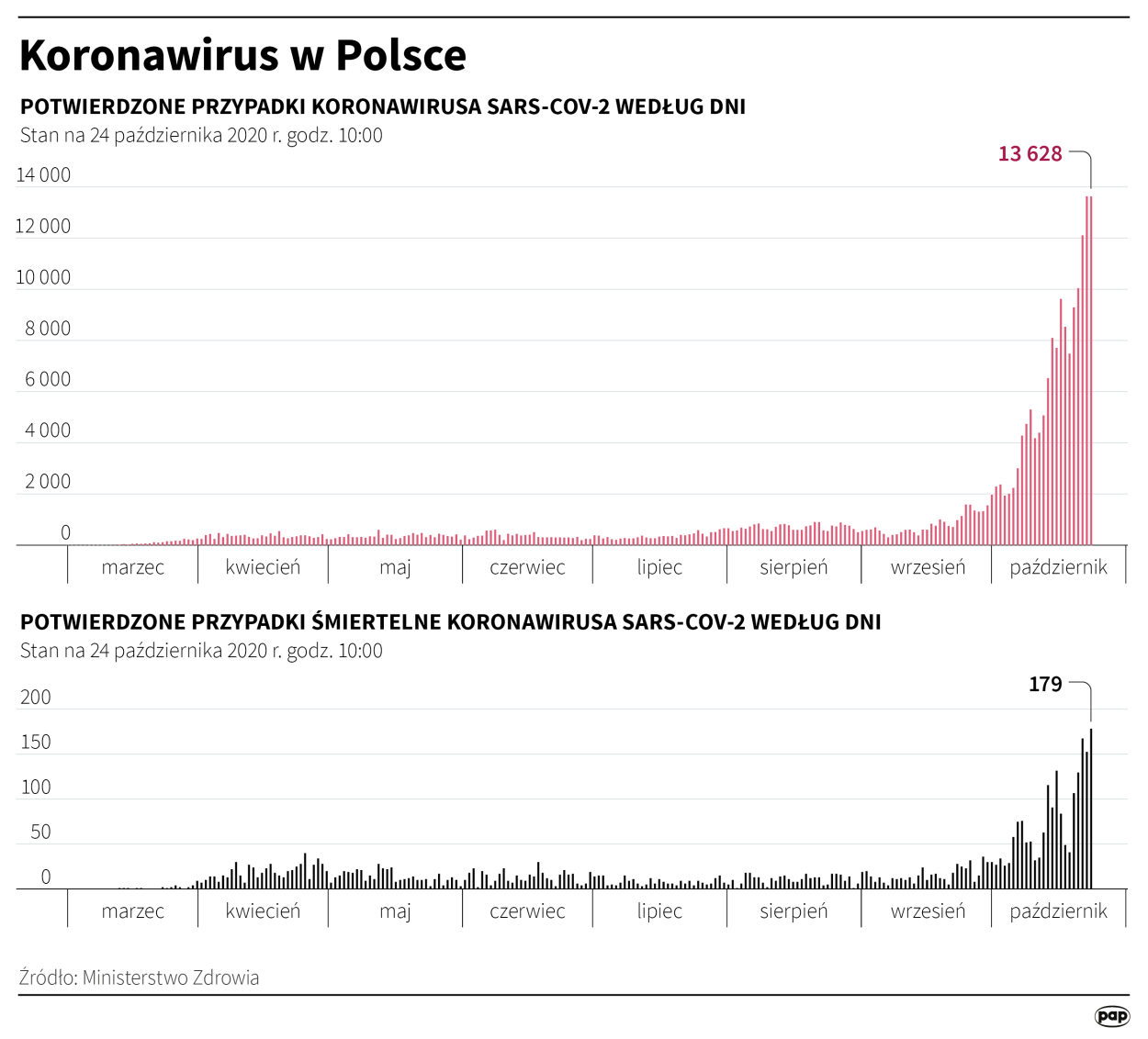 Fot. PAP/Infografika/Maciej Zieliński