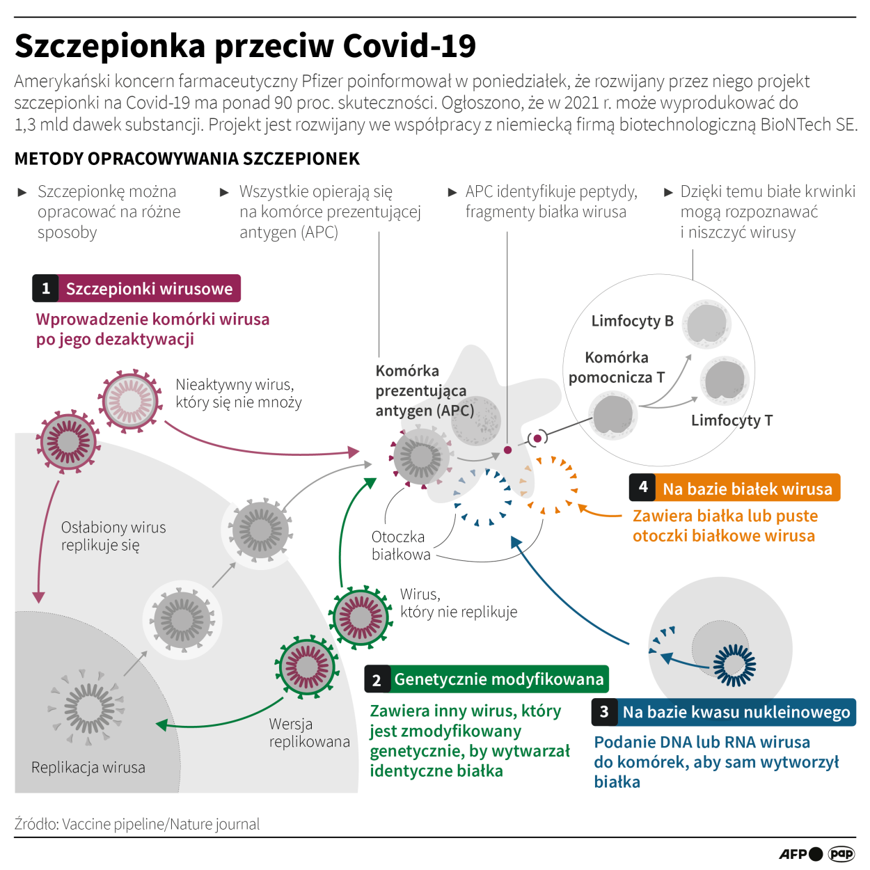 Infografika PAP/Maciej Zieliński, Adam Ziemienowicz
