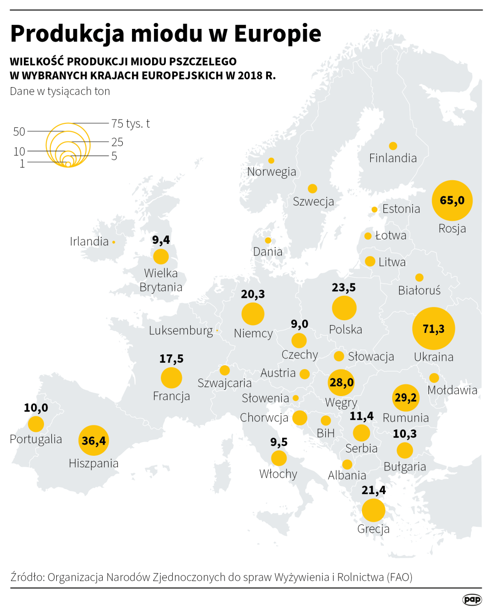 PAP/Maciej Zieliński