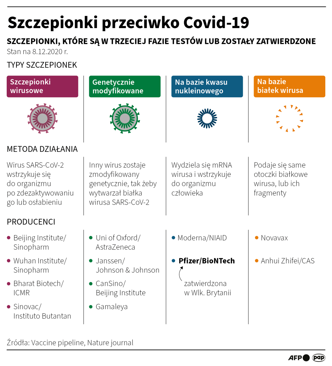 Szczepionki przeciwko Covid-19. Fot. PAP/Infografika/Maciej Zieliński
