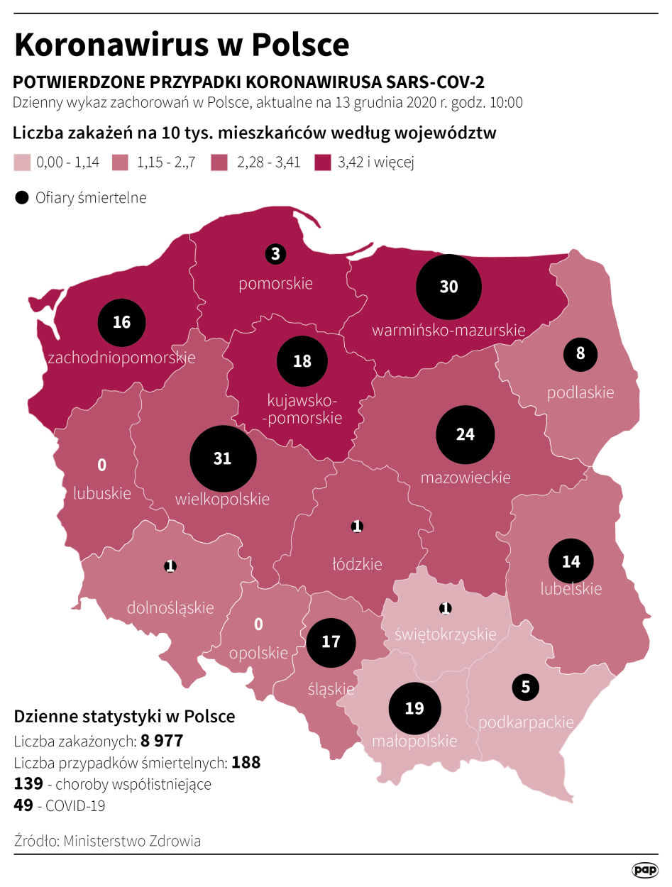 Fot. PAP/Infografika/Adam Ziemienowicz