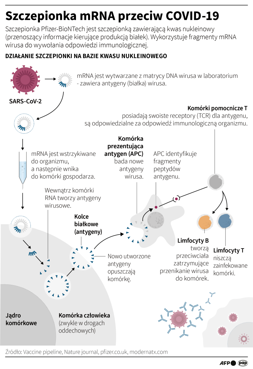 PAP/Maciej Zieliński