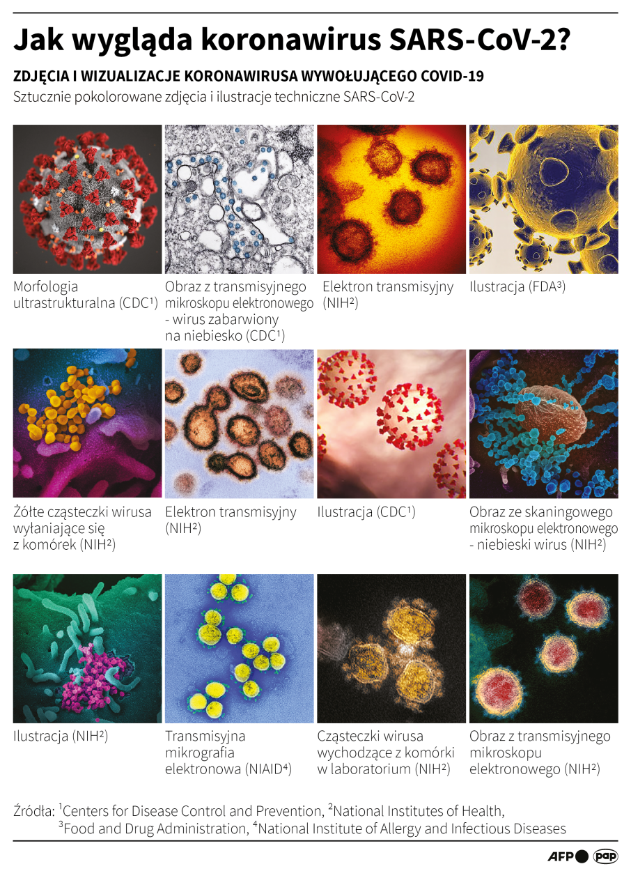 Jak wygląda koronawirus SARS-CoV-2? Fot. PAP/Maciej Zieliński