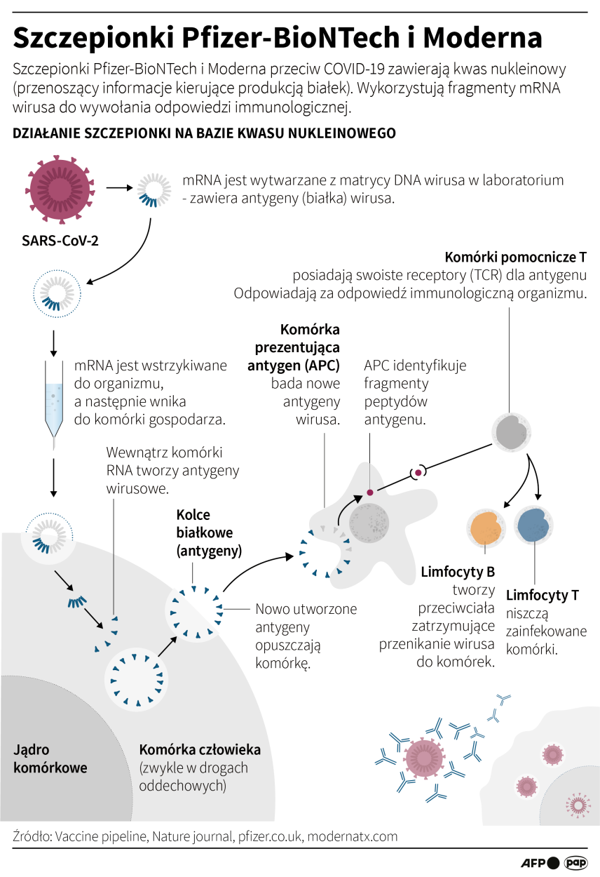PAP/Maciej Zieliński