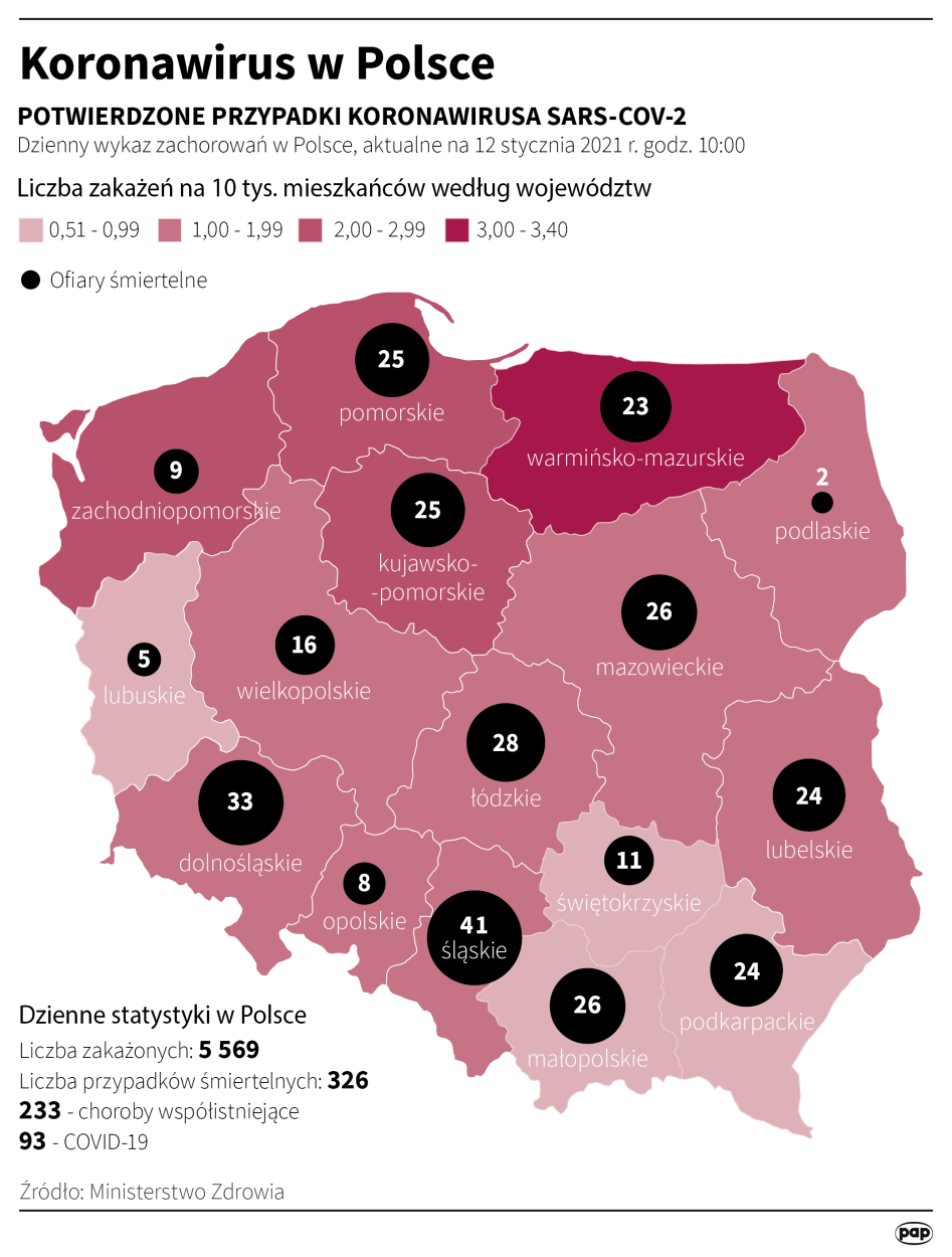 Infografika PAP/Maciej Zieliński