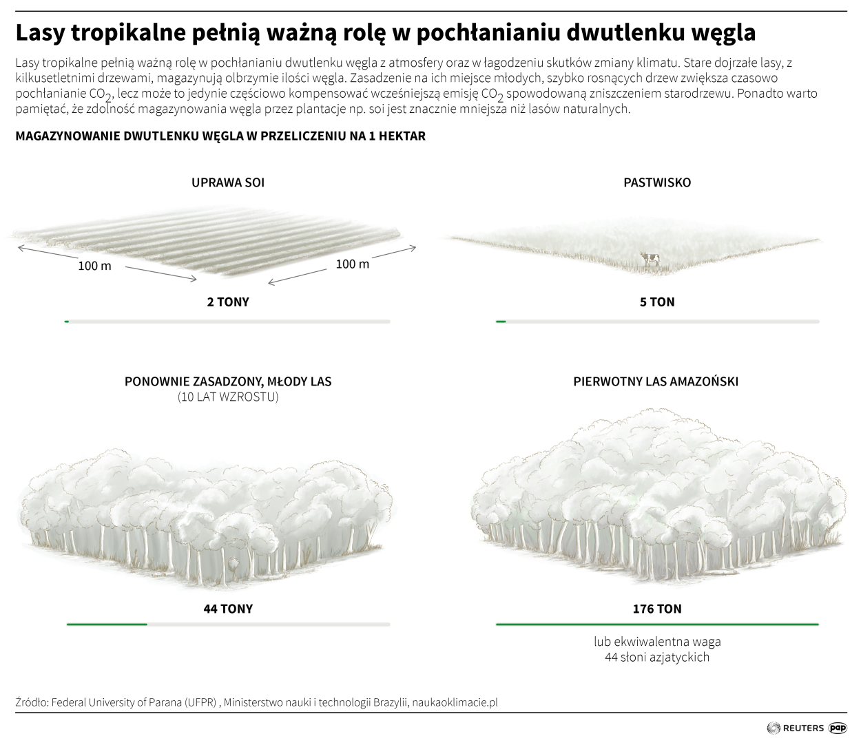 PAP/Adam Ziemienowicz