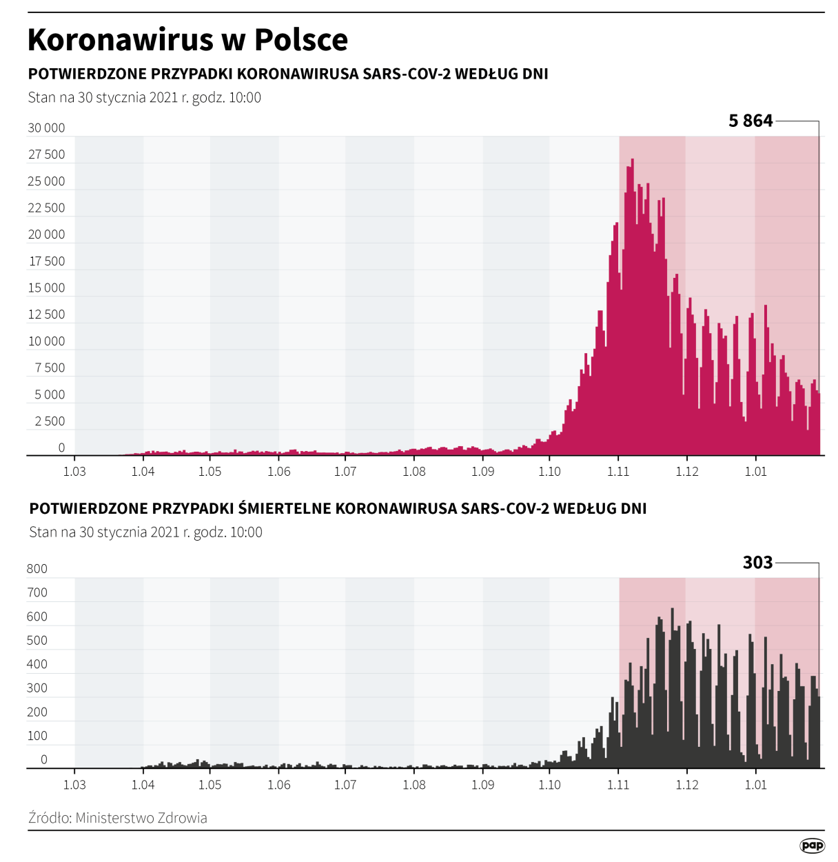 Koronawirus w Polsce - stan na 30 stycznia. Fot. PAP/Maciej Zieliński