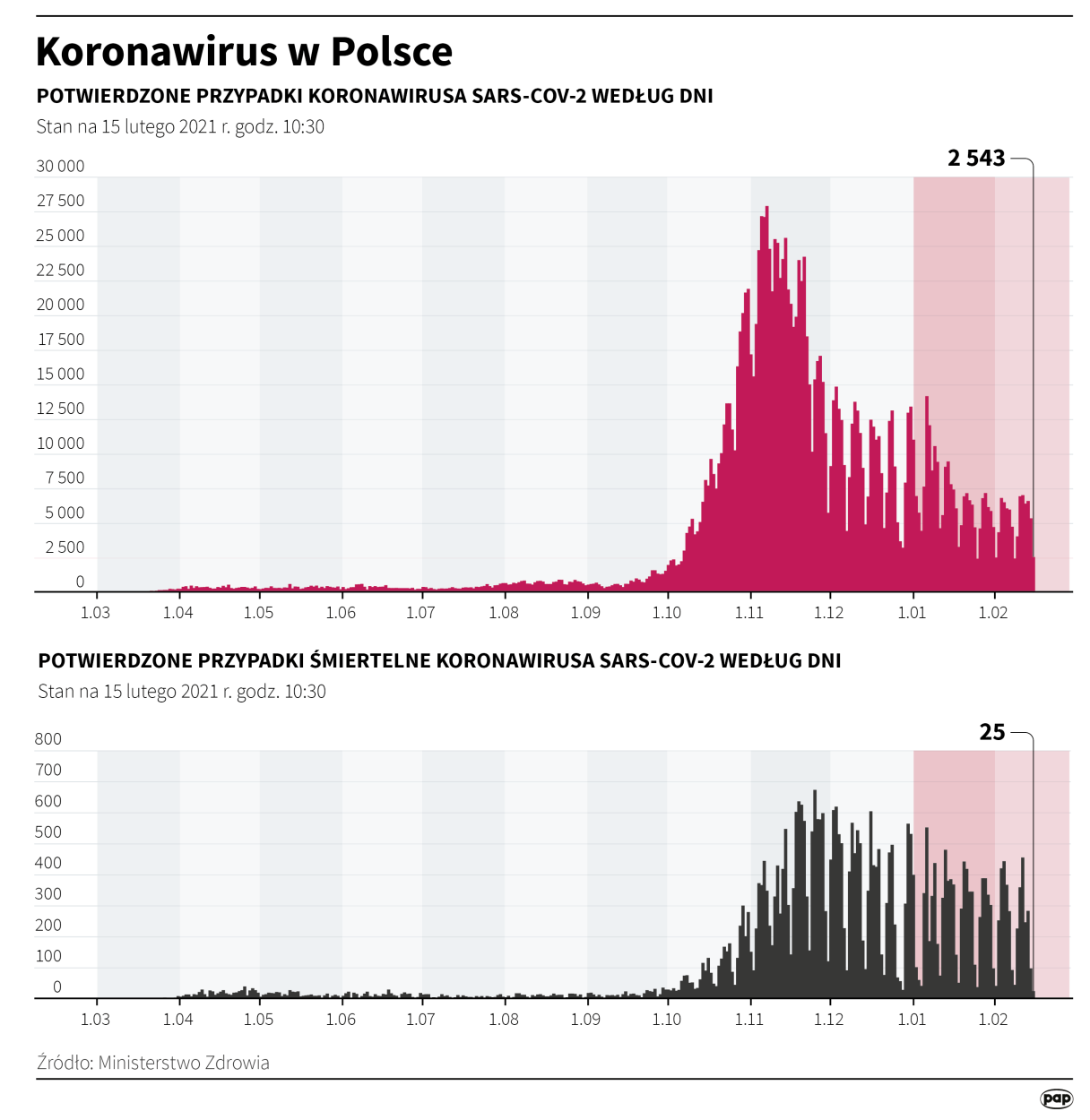 Koronawirus w Polsce - stan na 15 lutego Fot. PAP/Maciej Zieliński