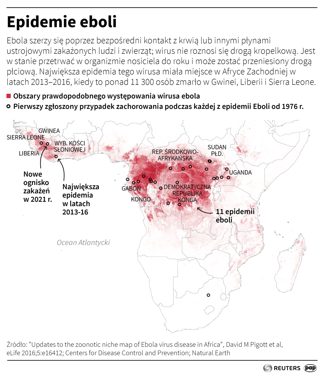PAP/Adam Ziemienowicz