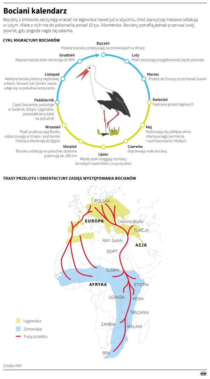 Maciej Zieliński , Małgorzata Latos , Adam Ziemienowicz