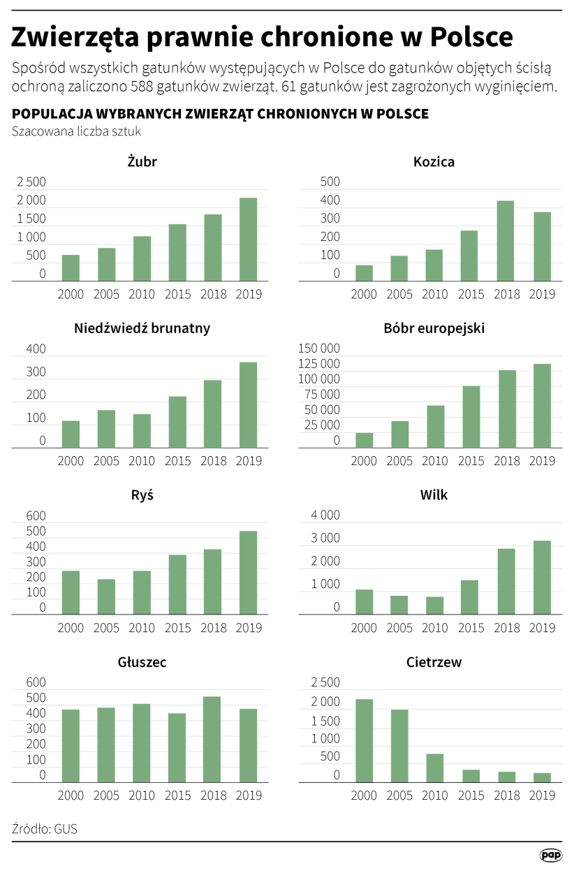 Fot. PAP/Maciej Zieliński