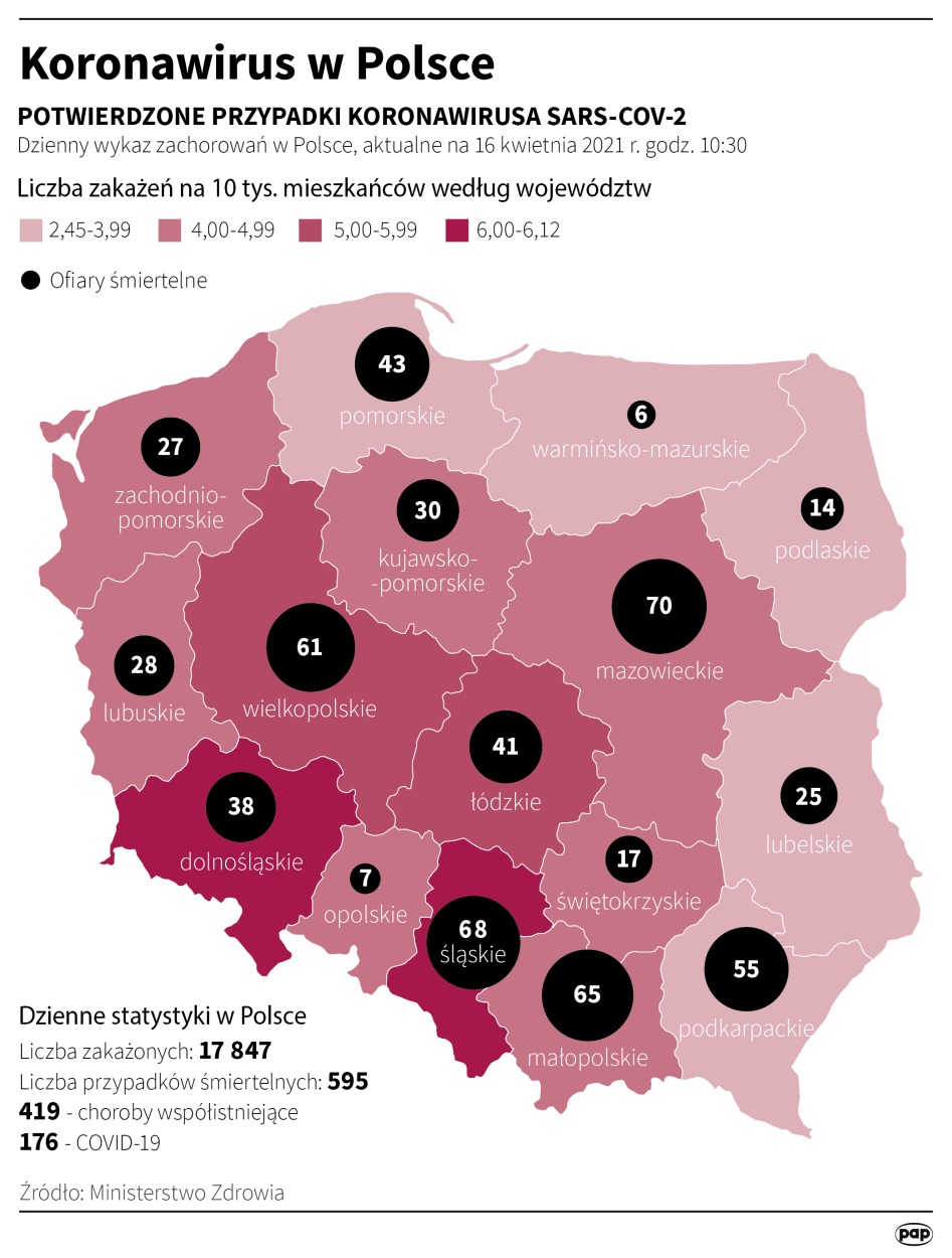 Fot. PAP/Maciej Zieliński